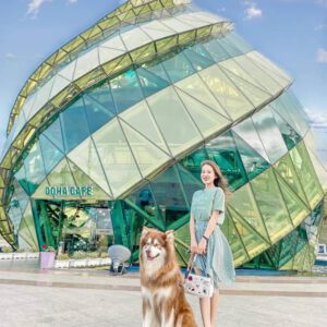 QUY NHƠN- ĐÀ LẠT NHỮNG ĐIỂM HOT NHẤT NĂM 2022- THỜI GIAN 3N3D